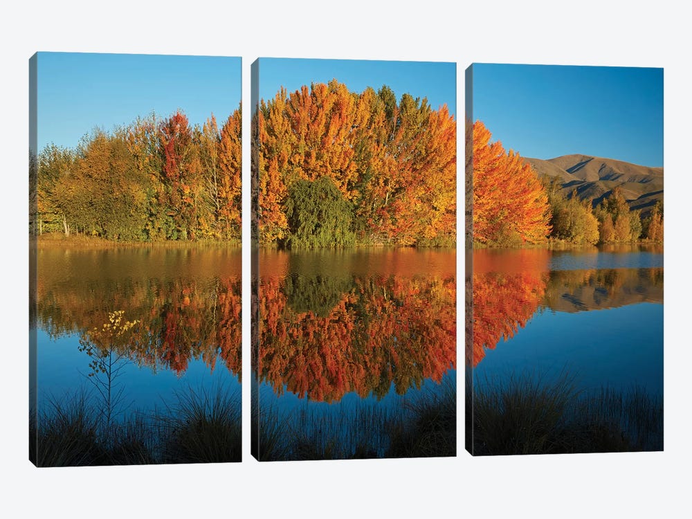 Autumn reflections in Kellands Pond, South Canterbury, South Island, New Zealand II by David Wall 3-piece Canvas Art