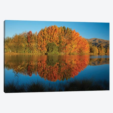 Autumn reflections in Kellands Pond, South Canterbury, South Island, New Zealand II Canvas Print #DWA11} by David Wall Canvas Art Print