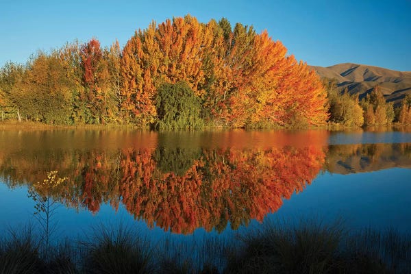New Zealand: Autumn Reflections In Kellands Pond II, South Canterbury, South Island, New Zealand by David Wall
