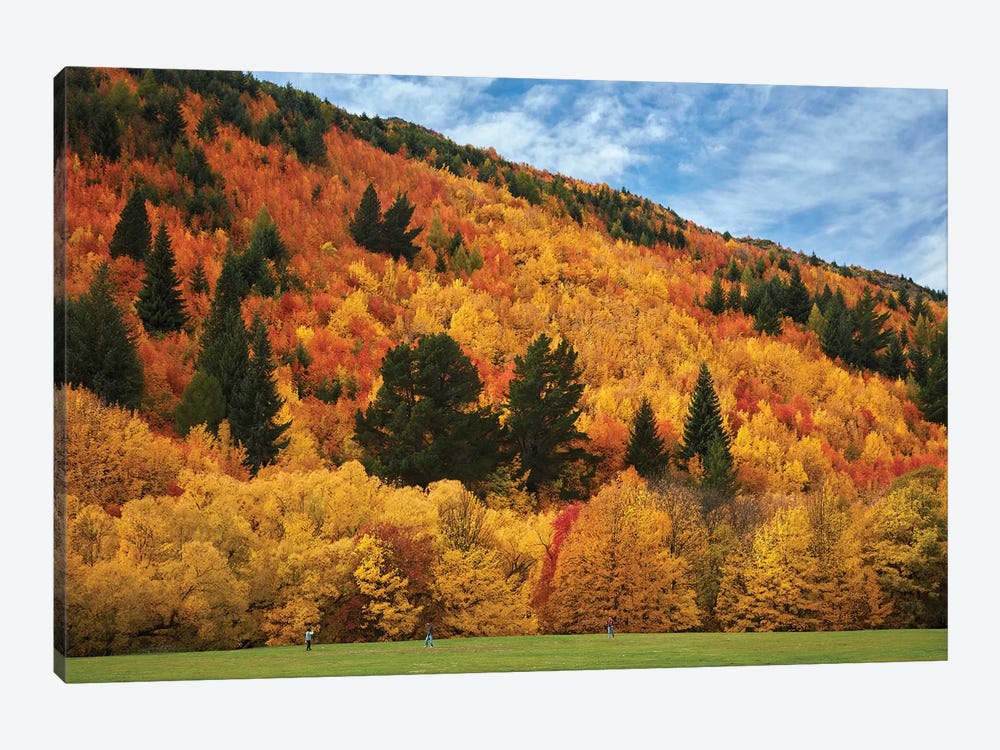 Autumn trees and Wilcox Green, Arrowtown, near Queenstown, Otago, South Island, New Zealand by David Wall 1-piece Canvas Art Print