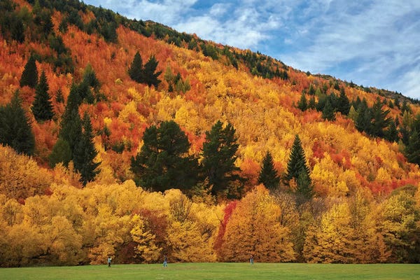 David Wall: Autumn trees and Wilcox Green, Arrowtown, near Queenstown, Otago, South Island, New Zealand by David Wall