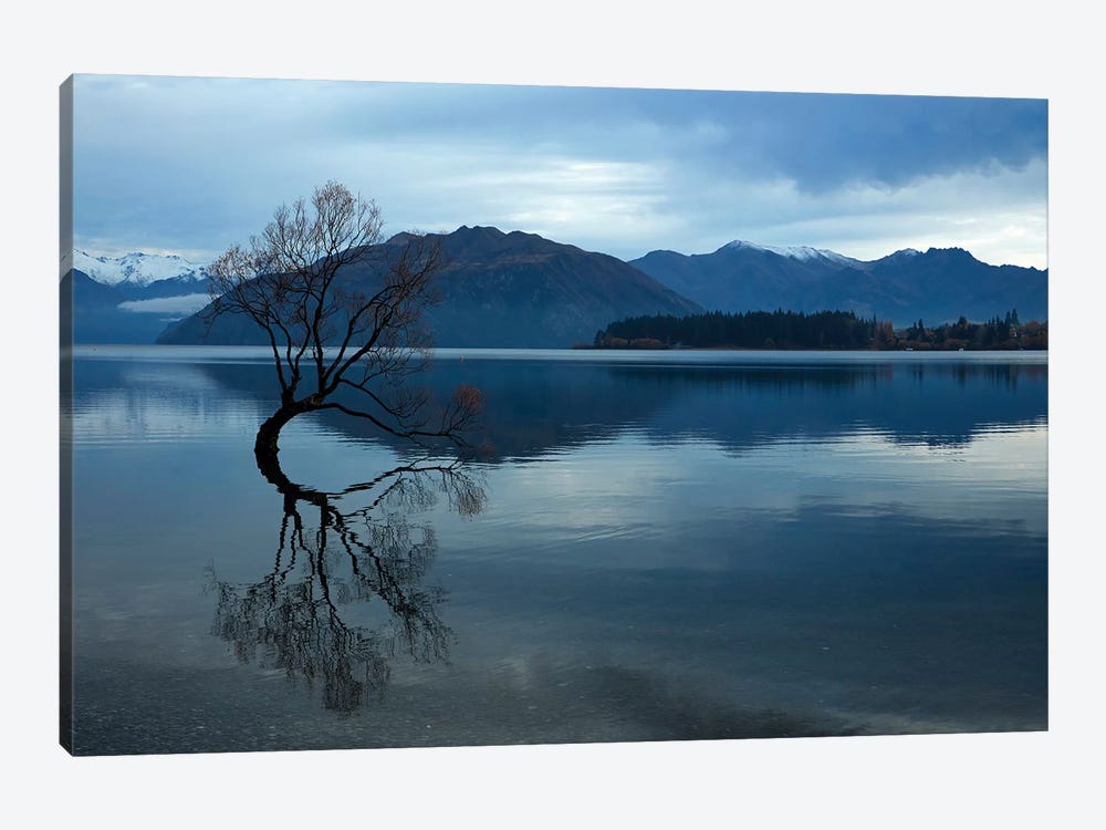 Clouds and 'That Wanaka Tree' reflected in Lake Wanaka, Otago, South Island, New Zealand by David Wall 1-piece Canvas Art Print