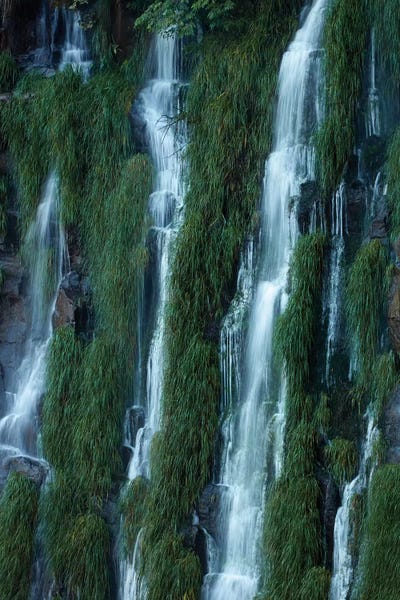 Iguazu Falls, Argentina by David Wall acrylic art print