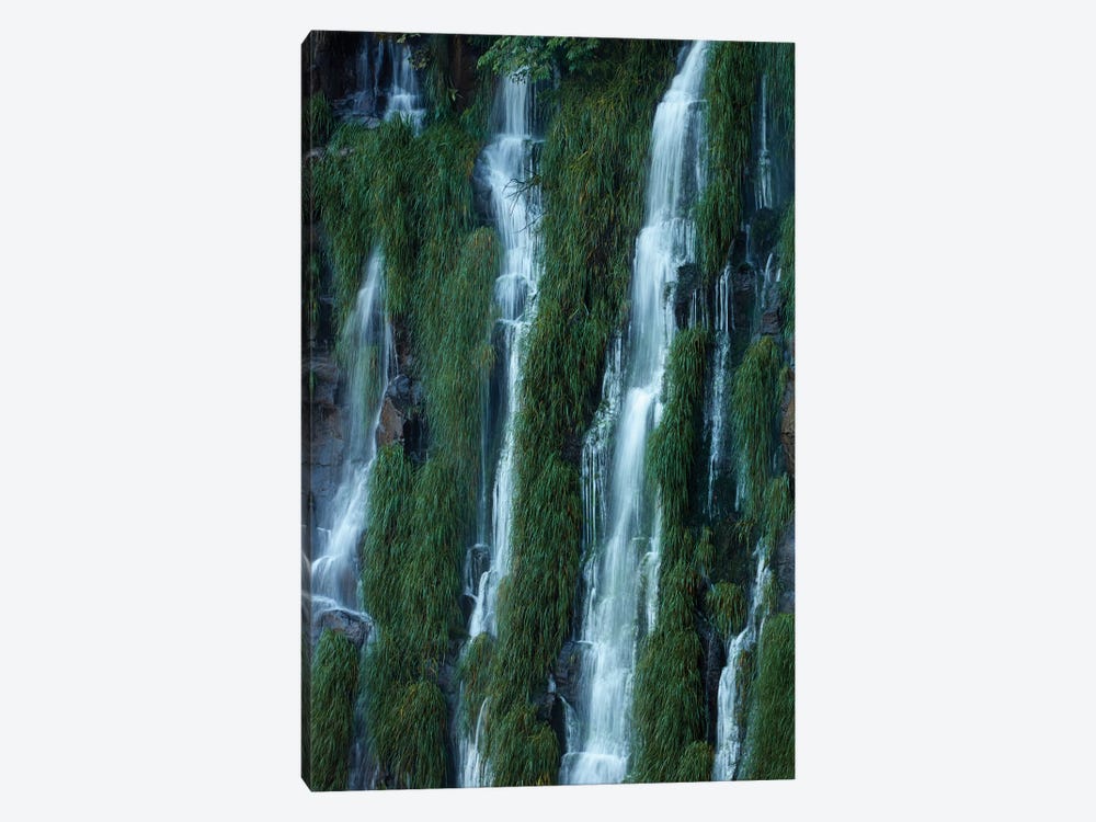 Iguazu Falls, Argentina by David Wall 1-piece Art Print