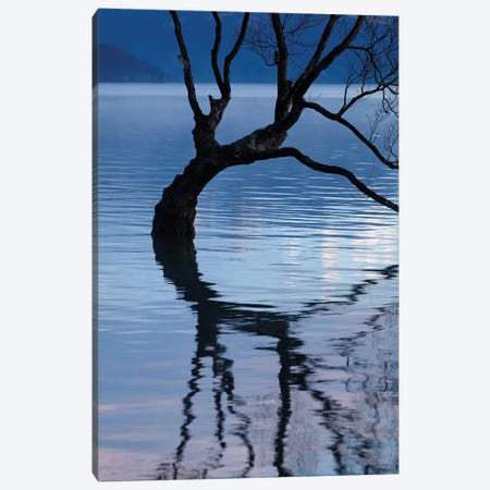 That Wanaka Tree reflected in Lake Wanaka, Otago, South Island, New Zealand Canvas Print #DWA30} by David Wall Canvas Art Print