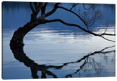 That Wanaka Tree reflected in Lake Wanaka, Otago, South Island, New Zealand Canvas Art Print