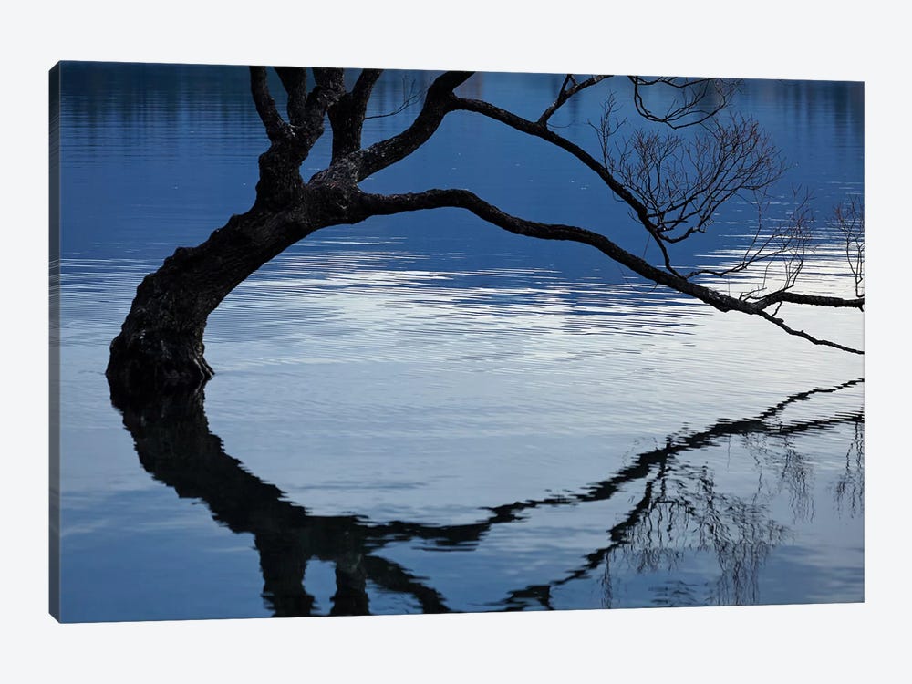 That Wanaka Tree reflected in Lake Wanaka, Otago, South Island, New Zealand by David Wall 1-piece Canvas Wall Art