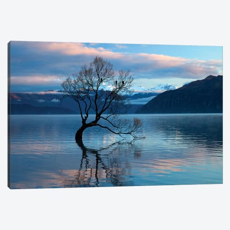That Wanaka Tree reflected in Lake Wanaka, Otago, South Island, New Zealand Canvas Print #DWA32} by David Wall Canvas Print