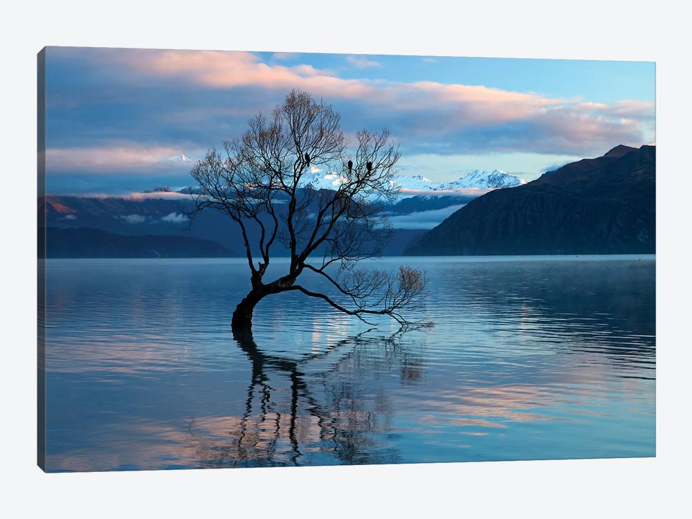 That Wanaka Tree reflected in Lake Wanaka, Otago, South Island, New Zealand by David Wall 1-piece Canvas Print