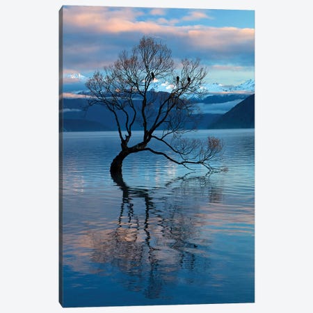That Wanaka Tree reflected in Lake Wanaka, Otago, South Island, New Zealand Canvas Print #DWA33} by David Wall Canvas Print