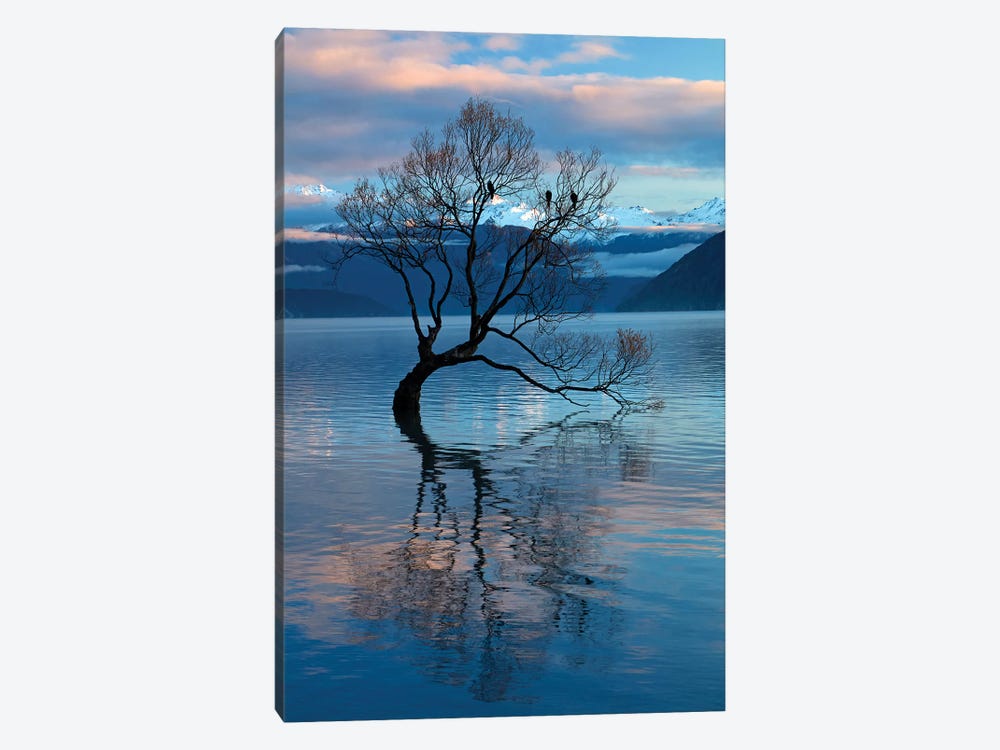 That Wanaka Tree reflected in Lake Wanaka, Otago, South Island, New Zealand by David Wall 1-piece Canvas Artwork