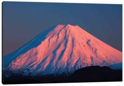 Alpenglow On Mt. Ngauruhoe At Dawn, Tongariro National Park, Central Plateau, North Island, New Zealand Canvas Art Print - Snowy Mountain Art