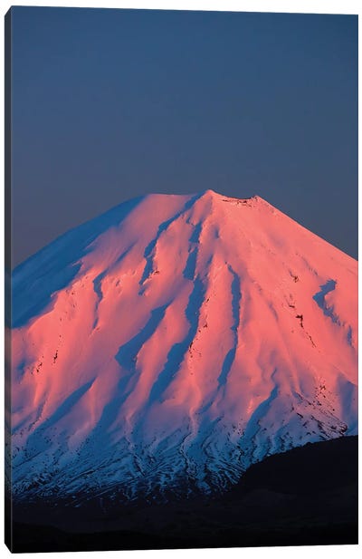 Alpenglow On Mt. Ngauruhoe At Dawn, Tongariro National Park, Central Plateau, North Island, New Zealand Canvas Art Print