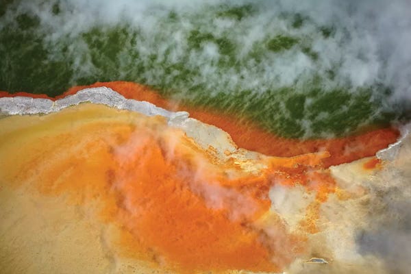 North Island: Champagne Pool And Artists Palette, Waiotapu Thermal Reserve, Near Rotorua, North Island, New Zealand by David Wall