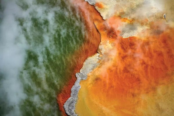North Island: Champagne Pool And Artists Palette, Waiotapu Thermal Reserve, Near Rotorua, North Island, New Zealand by David Wall