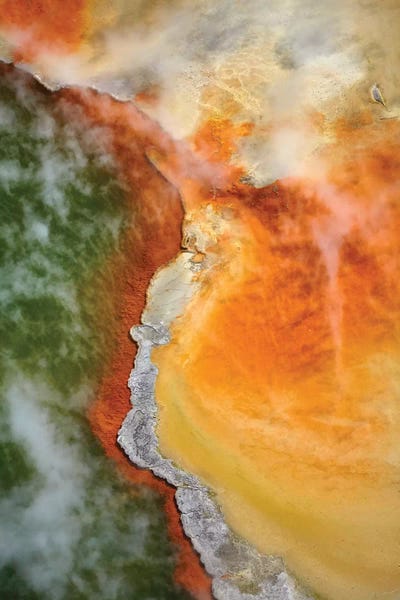 North Island: Champagne Pool And Artists Palette, Waiotapu Thermal Reserve, Near Rotorua, North Island, New Zealand by David Wall