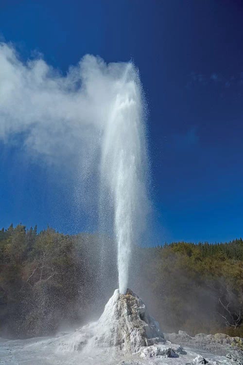 Geyser, Waiotapu, Near Rotorua, North Island, New Zealand