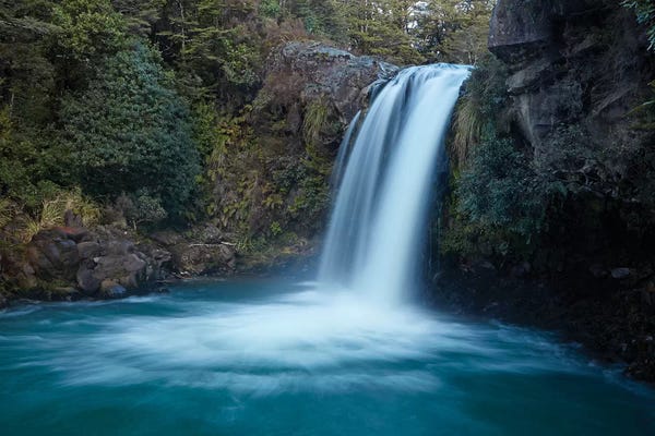 New Zealand: Tawhai Falls, Whakapapanui Stream, Tongariro National Park, Central Plateau, North Island, New Zealand by David Wall