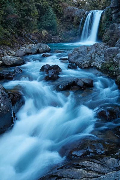 David Wall: Tawhai Falls, Whakapapanui Stream, Tongariro National Park, Central Plateau, North Island, New Zealand by David Wall