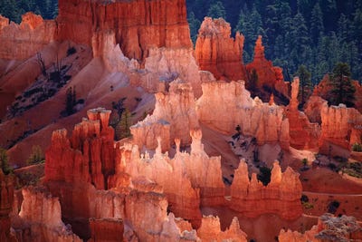 Hoodoos In The Amphitheater As Seen From inspiration Point, Bryce Canyon National Park, Utah, USA by David Wall acrylic art print