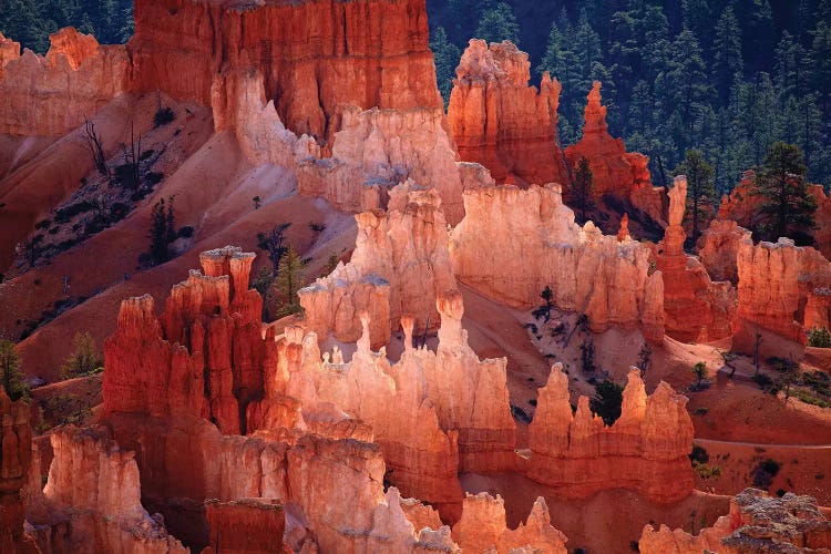 Hoodoos In The Amphitheater As Seen From inspiration Point, Bryce Canyon National Park, Utah, USA