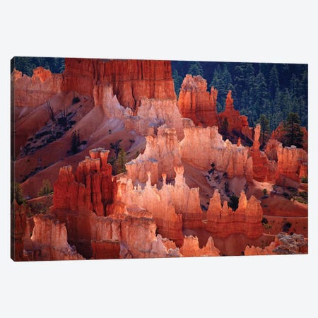 Hoodoos In The Amphitheater As Seen From inspiration Point, Bryce Canyon National Park, Utah, USA Canvas Print #DWA9} by David Wall Canvas Artwork