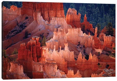 Hoodoos In The Amphitheater As Seen From inspiration Point, Bryce Canyon National Park, Utah, USA Canvas Art Print