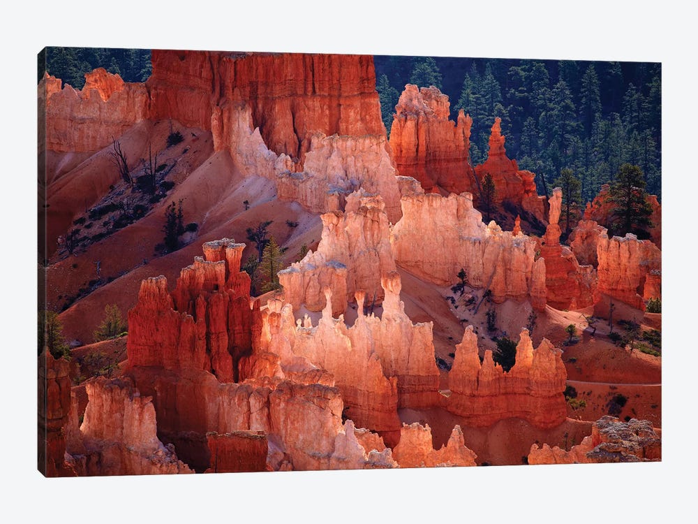 Hoodoos In The Amphitheater As Seen From inspiration Point, Bryce Canyon National Park, Utah, USA 1-piece Canvas Art Print