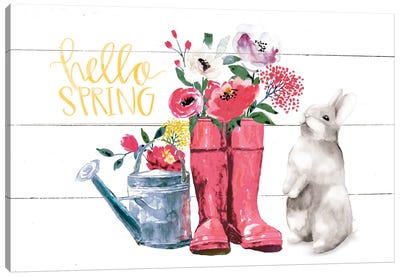 Hello Spring Canvas Art Print