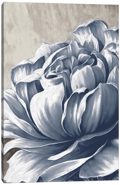Charming Floral II Canvas Art Print