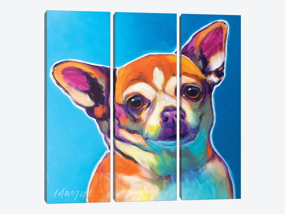 Starr The Chihuahua 3-piece Canvas Wall Art