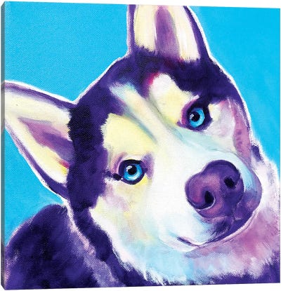 Dico The Husky Canvas Art Print