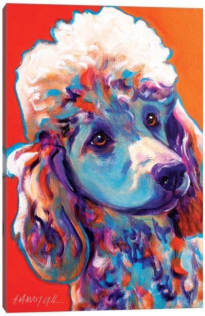 Bonnie The Poodle Canvas Art Print - Dawgart