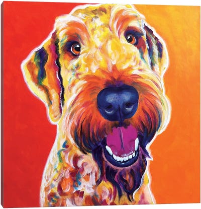 Hank The Airedoodle Canvas Art Print
