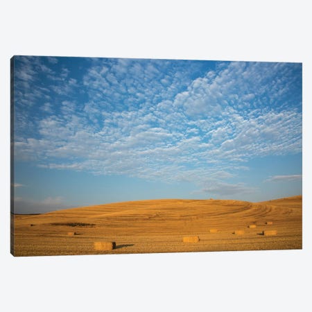 USA, Washington State, Palouse. Bales of straw in field. Canvas Print #DWI8} by Deborah Winchester Canvas Wall Art