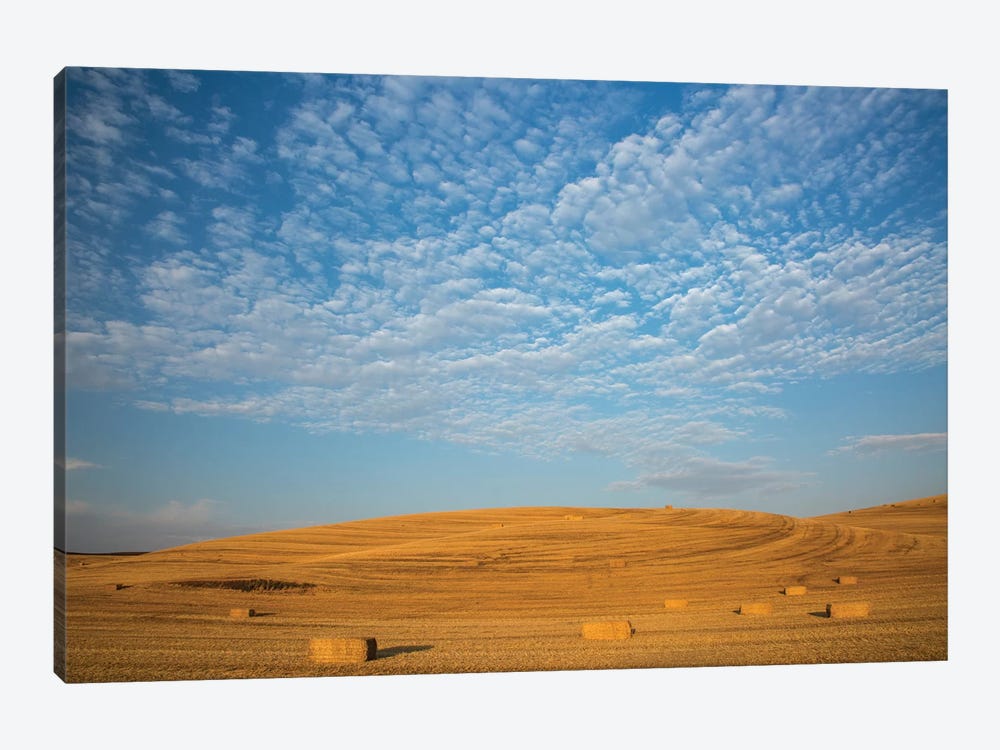USA, Washington State, Palouse. Bales of straw in field. by Deborah Winchester 1-piece Canvas Wall Art