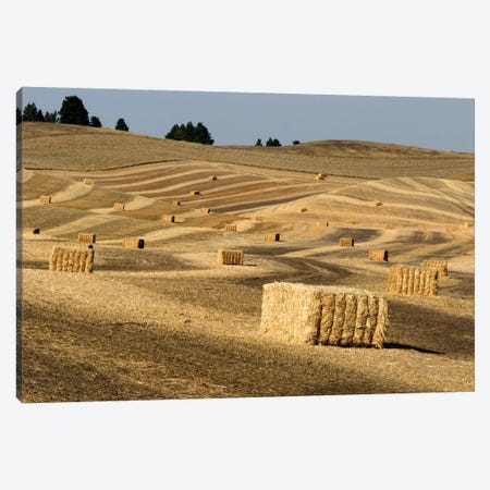 USA, Washington State, Palouse. Bales of straw in field. Canvas Print #DWI9} by Deborah Winchester Canvas Wall Art