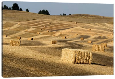 USA, Washington State, Palouse. Bales of straw in field. Canvas Art Print