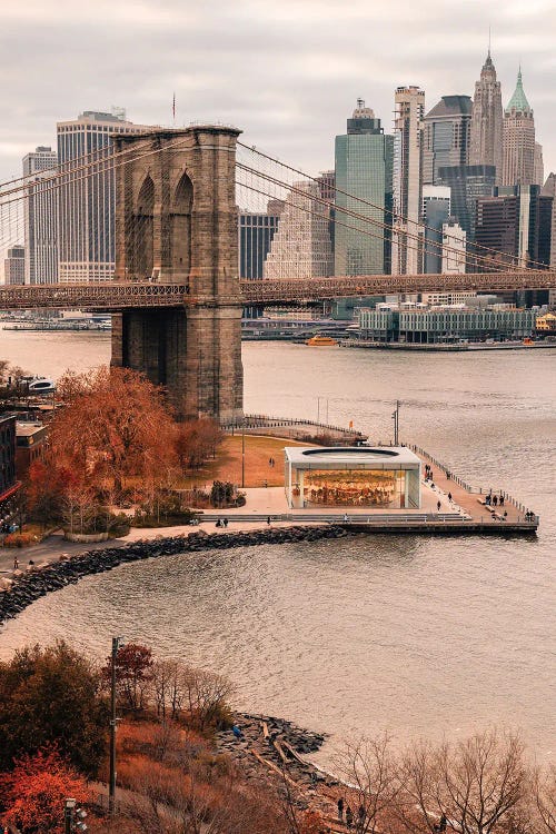 Fall Colors In New York City