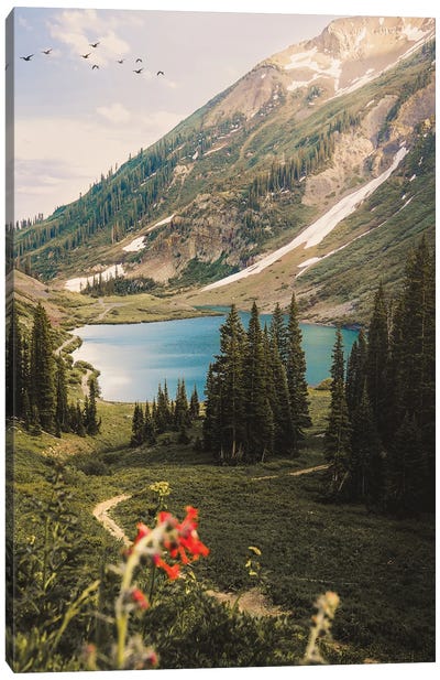 Emerald Lake, Colorado Canvas Art Print - Dylan Walker