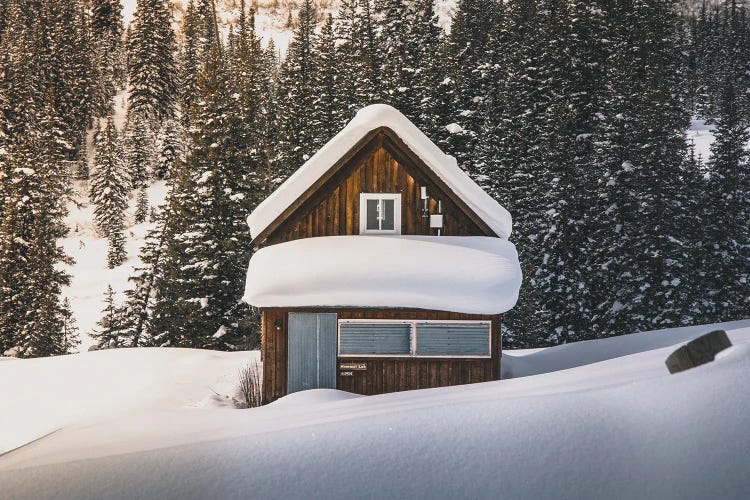 Alone In The Colorado Wilderness