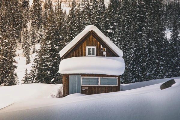 Alone In The Colorado Wilderness