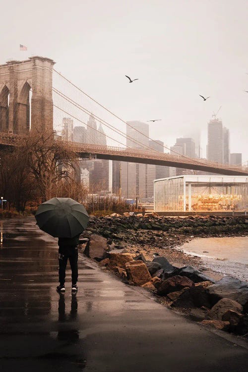 Rainy Dumbo Days