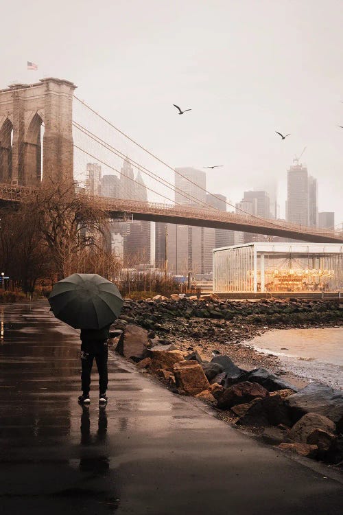 Rainy Dumbo Days by Dylan Walker wall art