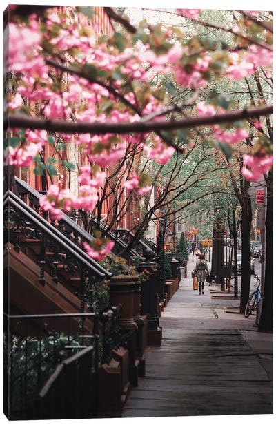 Spring Flowers In Brooklyn Heights Canvas Art Print - Brooklyn Art