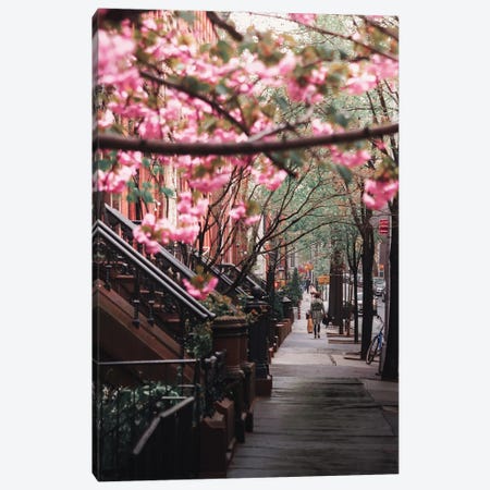 Spring Flowers In Brooklyn Heights Canvas Print #DWK58} by Dylan Walker Canvas Art Print