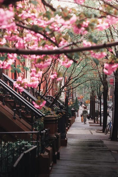 Dylan Walker: Spring Flowers In Brooklyn Heights by Dylan Walker