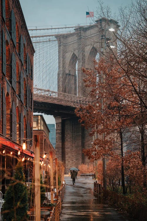 Rainy Day Under The Brooklyn Bridge