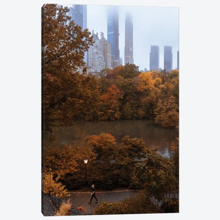 Man Walking Dog During Fall In Central Park Canvas Print #DWK69} by Dylan Walker Canvas Art