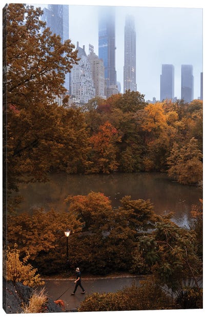 Man Walking Dog During Fall In Central Park Canvas Art Print - Central Park